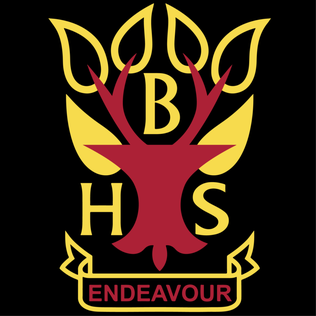 Braidhurst Glow for parents and carers – Glow Connect